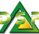 Logo Dsp Page Accueil