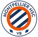 Partenaire MHSC